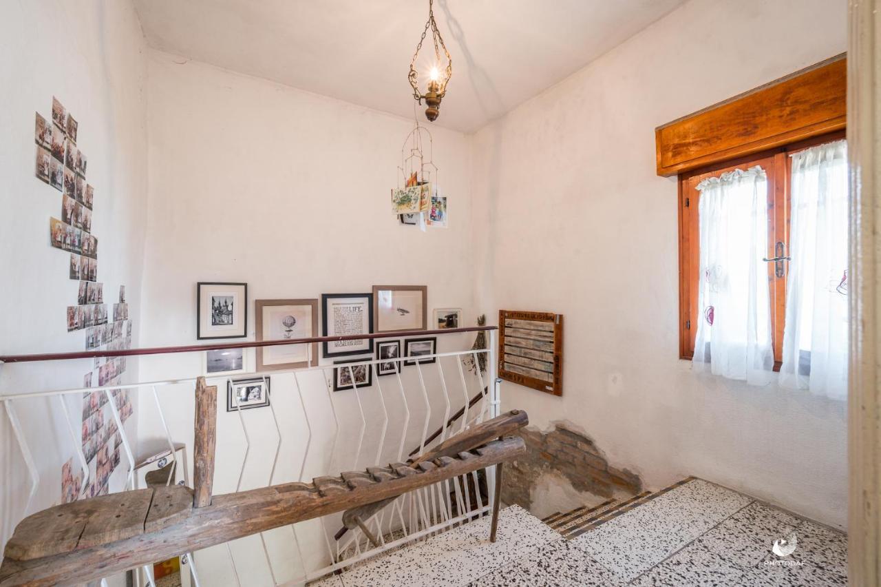 Nonantola Selvatica50 B&B מראה חיצוני תמונה