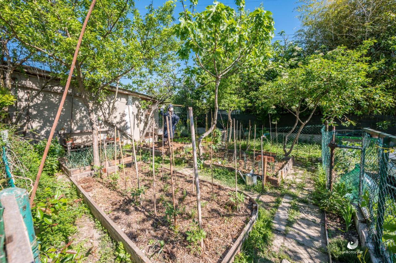 Nonantola Selvatica50 B&B מראה חיצוני תמונה
